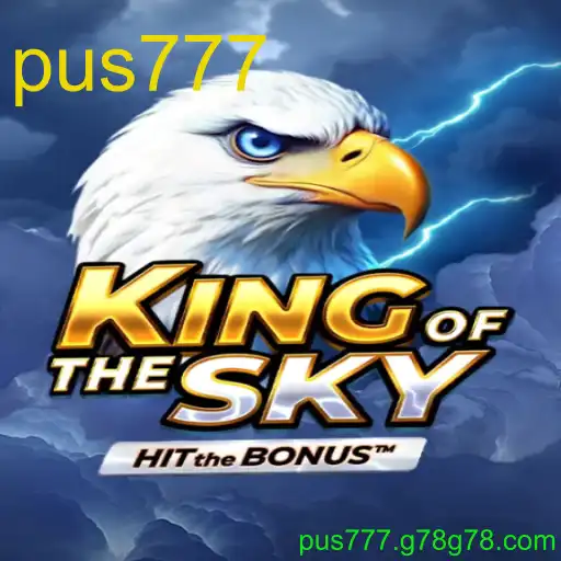 KingOfTheSky