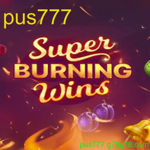 SuperBurningWins